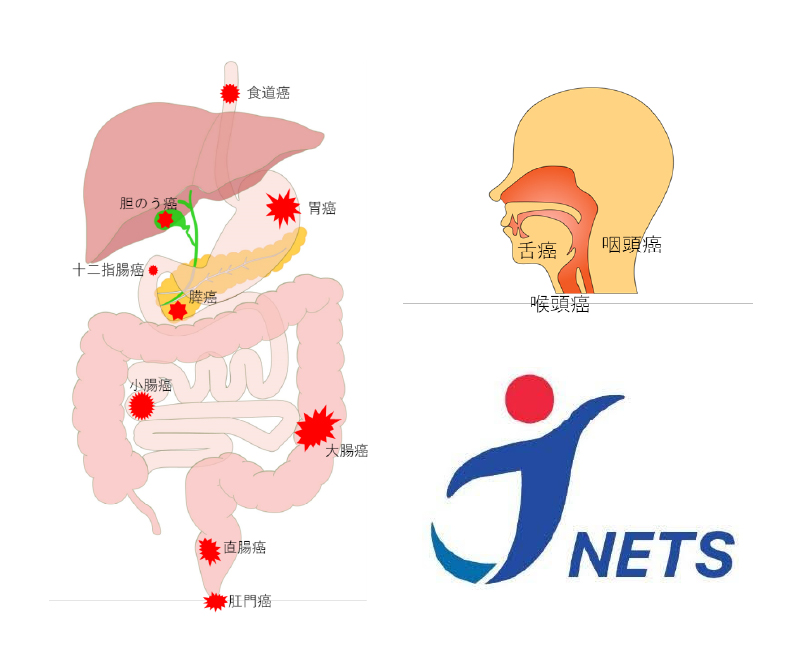 臓器内でがんが発生する箇所を示した図、がんが発生する箇所を示した口腔の構造の図、JNETSのロゴ