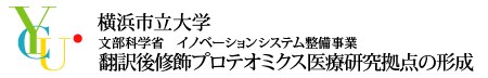 �|���C���v���e�I�~�N�X��Ì������_�̌`��