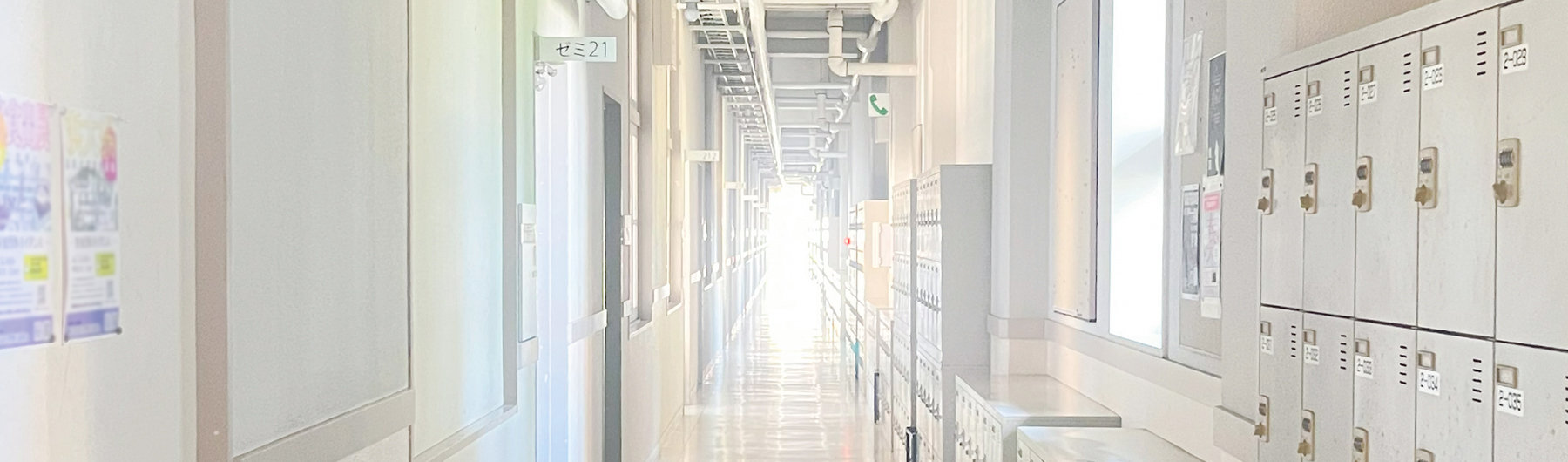 データサイエンス学部　2026年度の概要