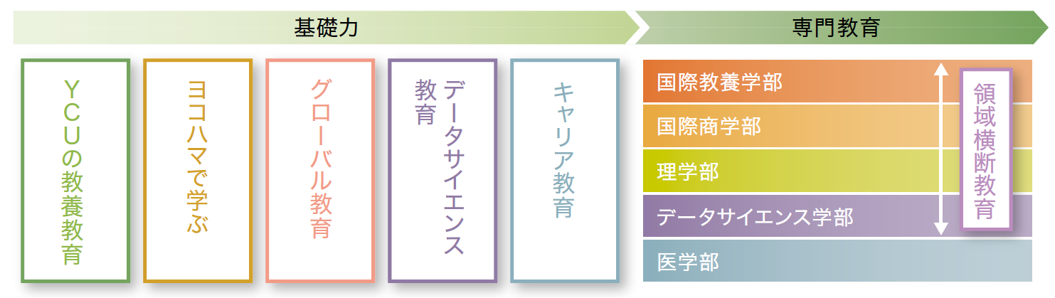 学部教育のカタチのプログラム