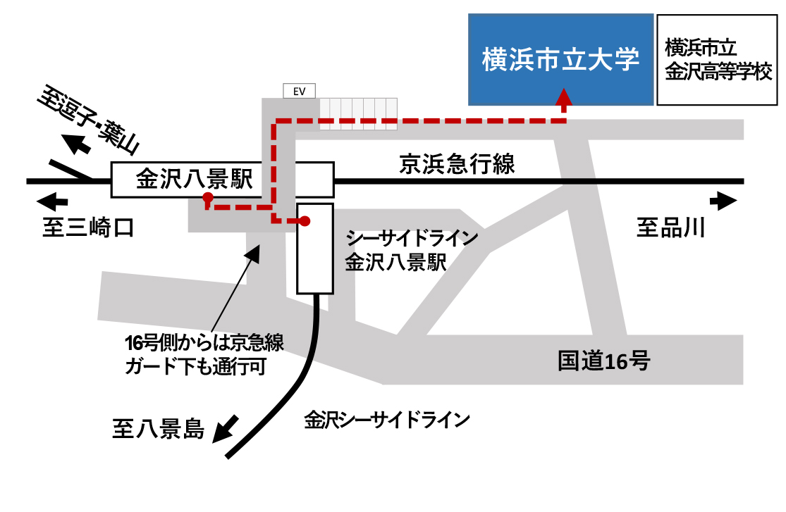 横浜市立大学