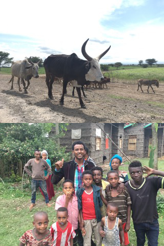 エチオピアの家畜牛と人々