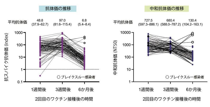 新型コロナウイルスワクチン接種後6か月時点の抗体価に関する調査結果報告 先端医科学研究センター