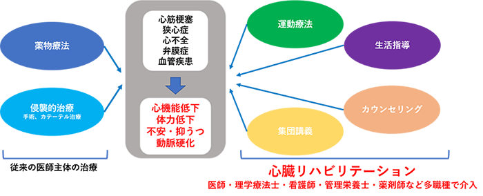 心血管病の患者さんが快適な社会生活を取り戻すための総合的なプログラムの図