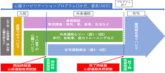 心臓リハビリテーションの実際と流れの図