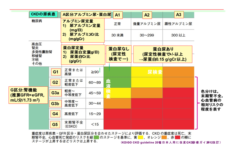 ＣＫＤの重症度分類表