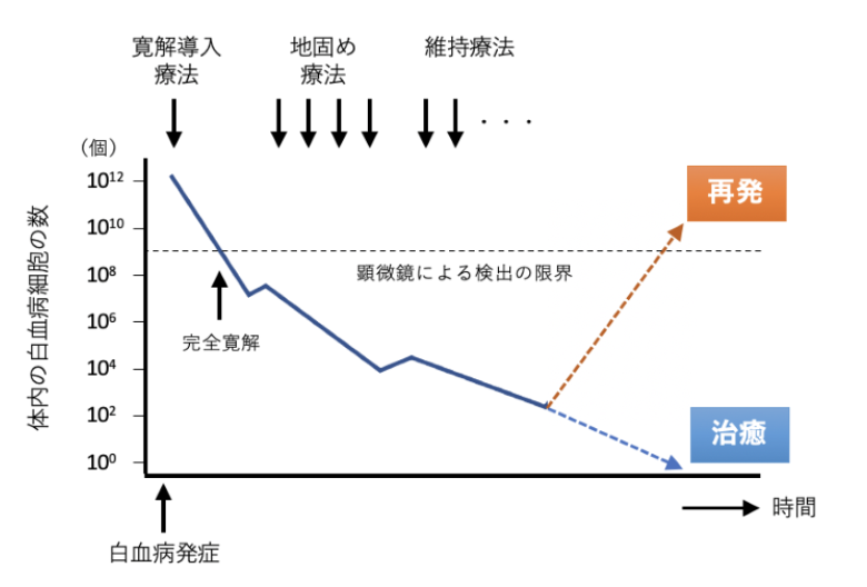 急性白血病①