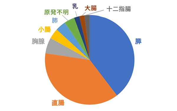 臨床腫瘍科の2022年のNETの新患49名の方の初発部位の内訳の円グラフ