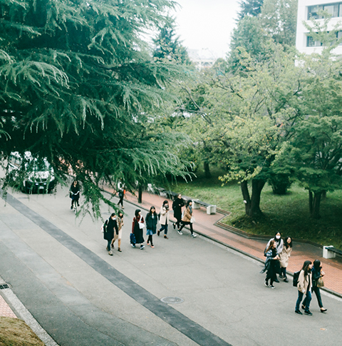 大学の情報公開