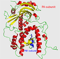 RNA|[[̍\