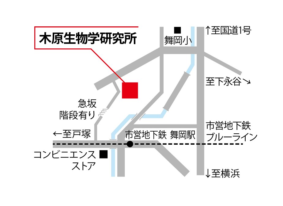 木原生物学研究所　地図