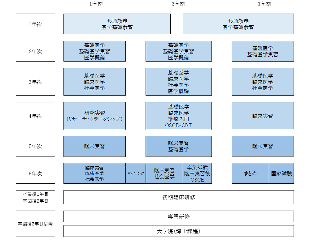 医学科カリキュラム全体像