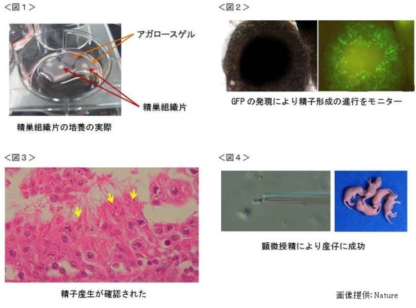 図1～4