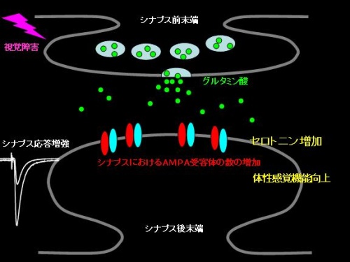 図