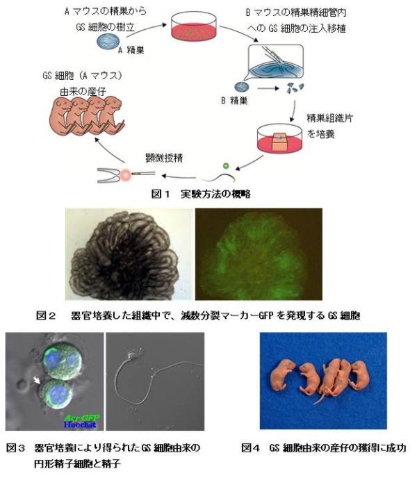 図1～4