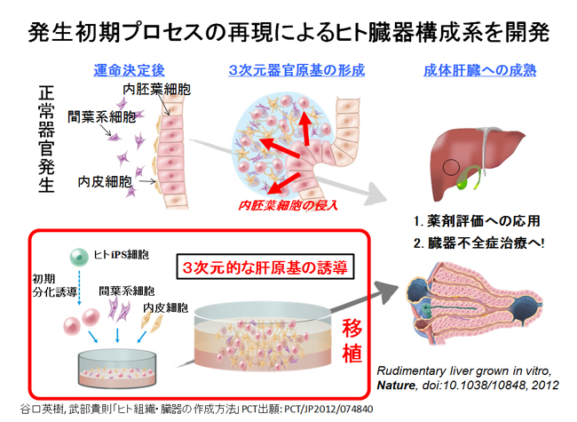 （図１）