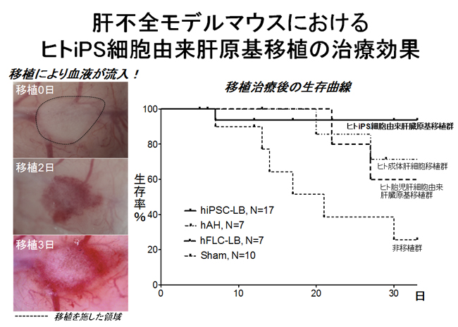 （図３）