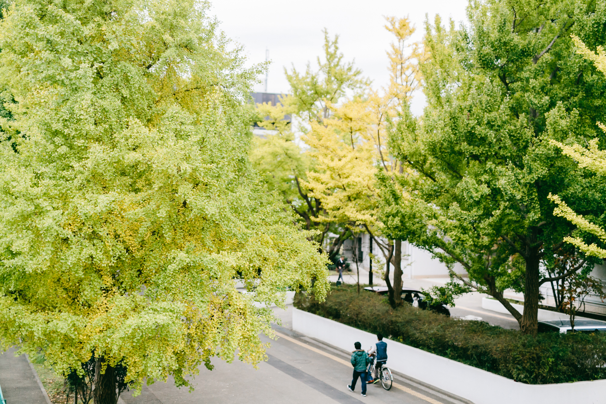 横浜市立大学