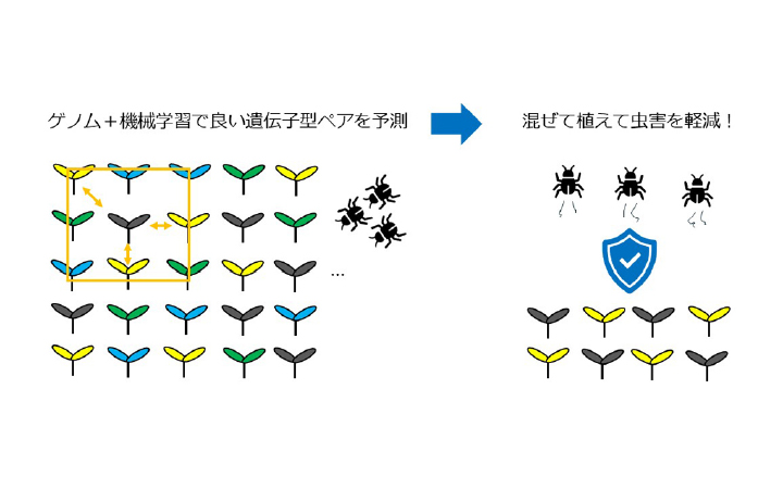 20241007shimizu_720ogp.jpg