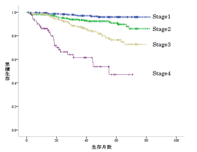 大腸癌生存曲線
