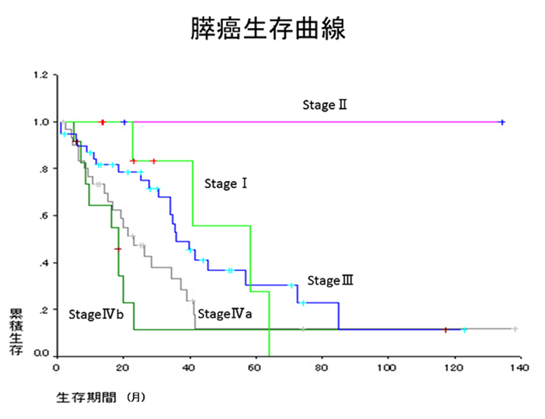 膵癌生存曲線