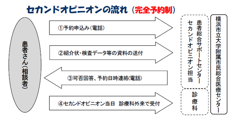 セカンドオピニオンの流れを示した図