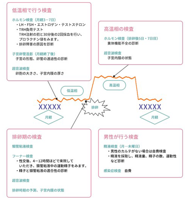 女性不妊に対する検査