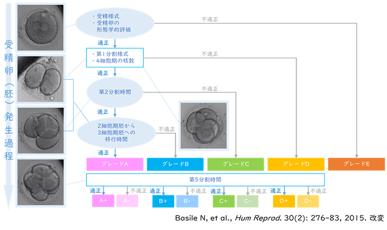 分析図