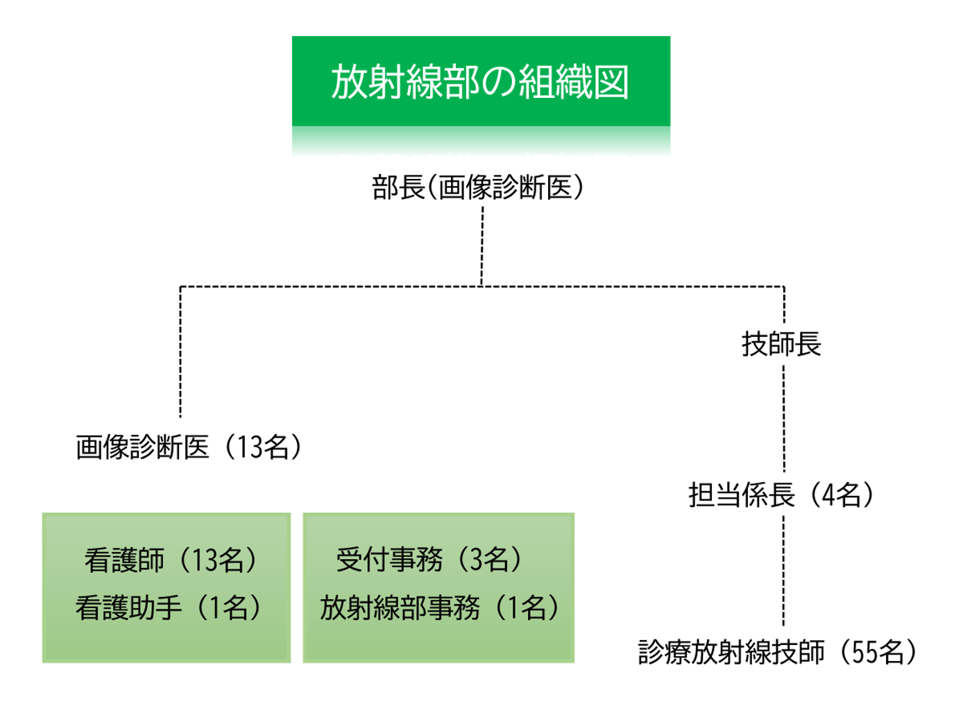 放射線部組織図