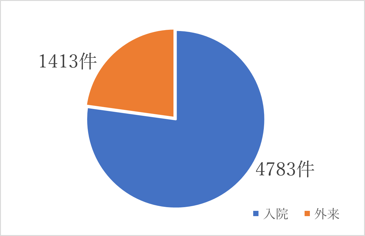 実績心臓